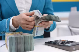6月4日上午越盾对美元汇率中间价下调7越盾