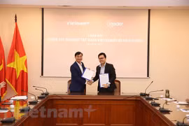 VietnamPlus与Insider合作促进报业数字化转型