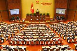 国会第二次会议质询和回答质询活动进入最后一天 政府总理将回答询问