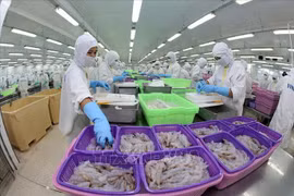 越南有望成为世界虾类主要生产国