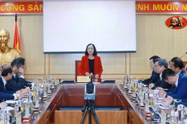 越共中央组织部部长张氏梅会见接任前的驻外大使和总领事