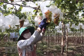 再有1600家企业对农业领域进行投资