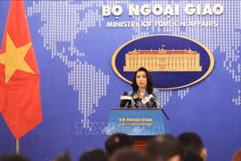 外交部例行记者会：关于在河内遭性骚扰的外国妇女的消息