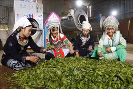 少数民族地区和山区经济社会发展：打造地方特色项目和特色作物