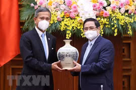 越南政府总理范明政会见新加坡外长