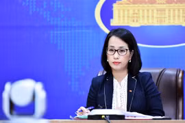 外交部例行记者会：越南承诺为应对气候变化作出不懈努力