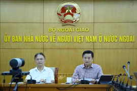 “新冠肺炎大流行病中的世界特征：对越南产生的影响”座谈会在线举行
