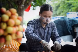 海阳省清河荔枝在电子商务平台上销售顺畅