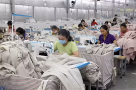 俄越友好协会：越共十三大在多方面上取得成功