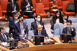 英国驻联合国大使：越南为安理会作出了许多贡献