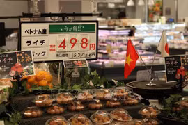 新冠肺炎疫情：为越南农产品出口到日本牵线搭桥
