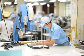 协助越南企业敲开欧洲市场大门