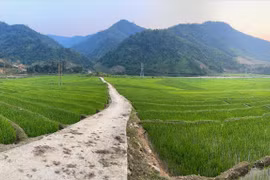 政府总理就促进边界地区发展颁布指示