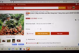 电商平台联手销售北江荔枝