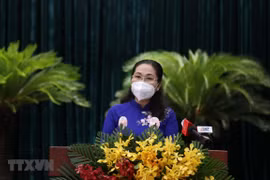 胡志明市第十届人民议会第一次会议落下帷幕