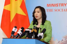 外交部例行记者会：越南外交取得诸多成就