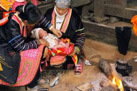 国际伙伴向降低越南少数民族地区产妇死亡率项目提供逾200万美元