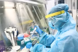 新冠肺炎疫情：越南加强新冠肺炎病毒检测能力 