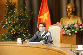 武德儋副总理：嘉莱等省疫情基本得到控制 一个平安祥和的春节脚步越来越近