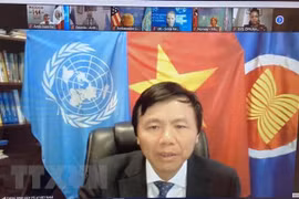 越南与联合国安理会：越南支持将性别层面纳入打击恐怖主义和暴力极端主义各方面