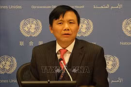 越南在联合国分享靠数字技术推动发展的经验