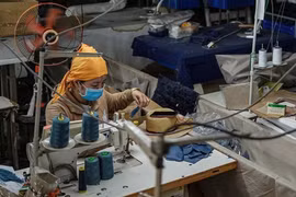 2020年柬埔寨与中国的贸易总值达81亿美元