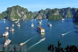 政府副总理武德儋：促进旅游业安全稳定复苏