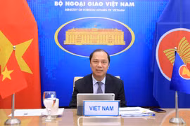 第23届东盟-印度高官会议以视频方式召开