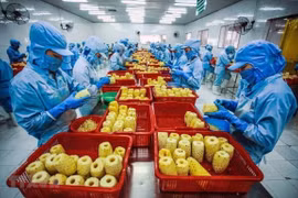 越南农产品出口必要适应欧盟新标准