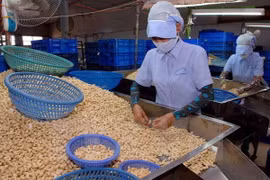 平福省出口顺差超过4亿美元