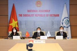 越南出席国际和平与安全常务委员会会议