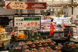 促进越南荔枝销往日本