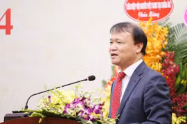 促进越南与捷克民间外交活动