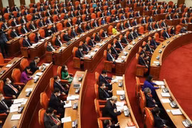 越共十三届中央委员会第四次会议发表公报（第四号）