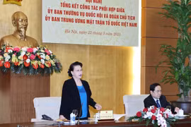 越南国会常委会与越南祖国阵线中央委员会主席团加强协调配合