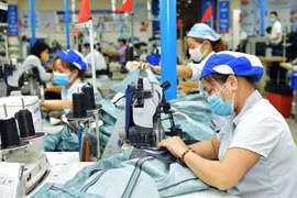 利用《越南—欧盟自由贸易协定》的优势