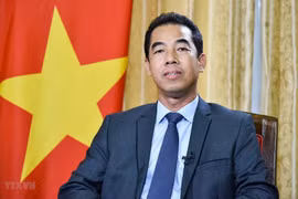 着力提升越英两国各主要合作机制的运行质效