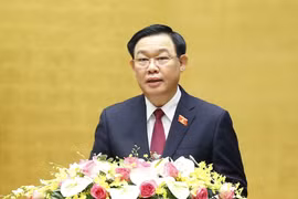 将胡志明思想运用于立法工作 致力于建设与完善越南社会主义法治国家