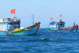 越南海洋岛屿：严惩在国外海域非法捕鱼的渔船