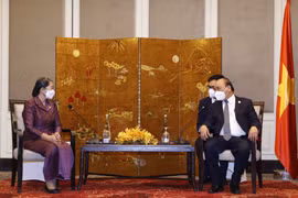 越南国家主席阮春福会见柬埔寨副首相梅森安