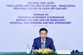 加强越南和中东地区之间的投资与合作