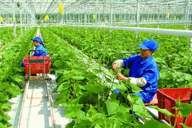 EVFTA--机遇越大艰难越多：从EVFTA落实过程中成熟