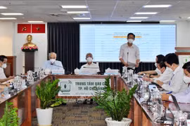 新冠肺炎疫情：胡志明市开展总经费为7.3万亿越盾的第三个扶持计划
