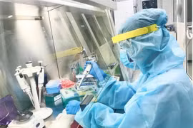 新冠肺炎疫情：越南新增1例病例 累计确诊病例1851例
