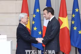 法国总统：越南在法国政策中具有特别的地位