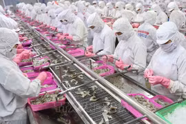 中国广州企业对越南水产品的进口需求大增