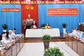 阮氏金银：安江省应加大边境管控力度 做好疫情防控工作 确保换届选举顺利进行