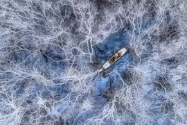 越南摄影师的作品获得国际一等奖