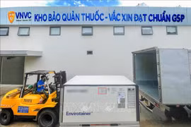 胡志明市海关保障新冠疫苗和防疫物资快速通关