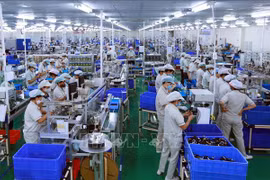 世行对2021年越南经济增长态势予以高度评价